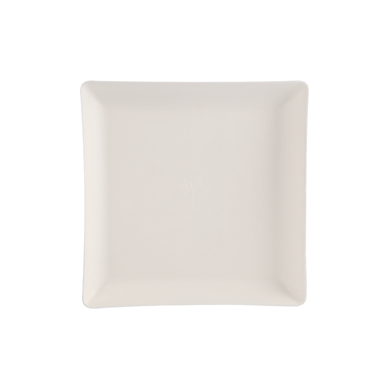 便宜實(shí)惠22cm*22cm方形可降解托盤